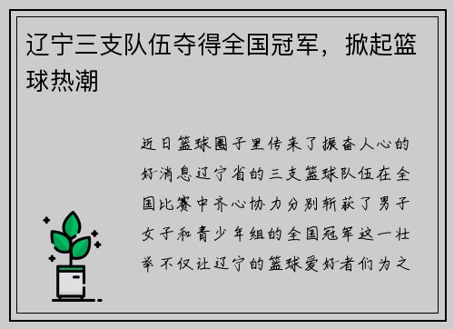 辽宁三支队伍夺得全国冠军，掀起篮球热潮